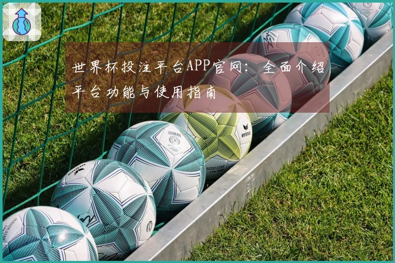 世界杯投注平台APP官网：全面介绍平台功能与使用指南