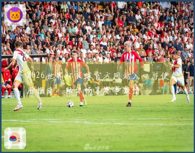 2026世界杯买球官方网站入口与使用指南，助你畅享赛事激情