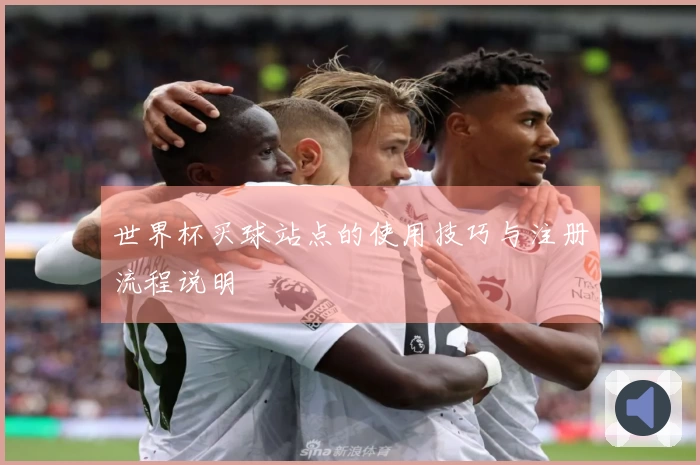 世界杯买球站点的使用技巧与注册流程说明