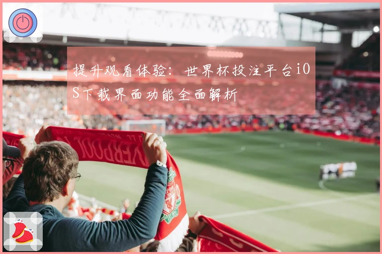 提升观看体验：世界杯投注平台iOS下载界面功能全面解析