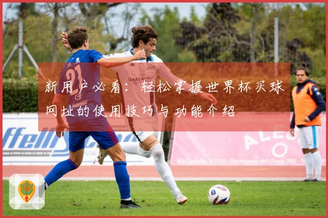 新用户必看:轻松掌握世界杯买球网址的使用技巧与功能介绍