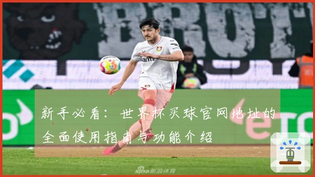 新手必看：世界杯买球官网地址的全面使用指南与功能介绍