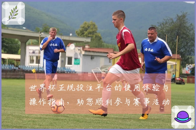 世界杯正规投注平台的使用体验与操作指南，助您顺利参与赛事活动