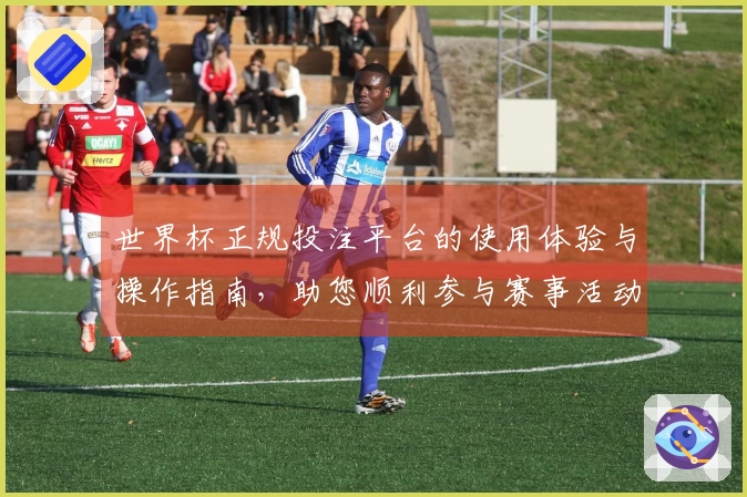 世界杯正规投注平台的使用体验与操作指南，助您顺利参与赛事活动