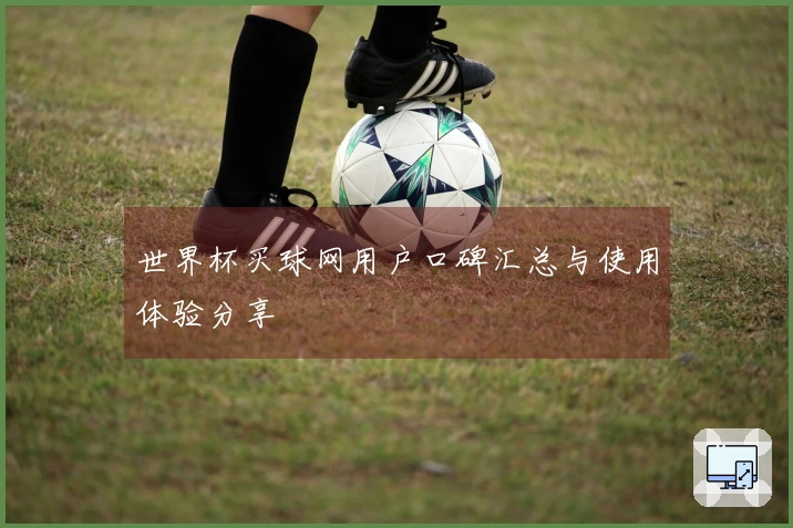 世界杯买球网用户口碑汇总与使用体验分享