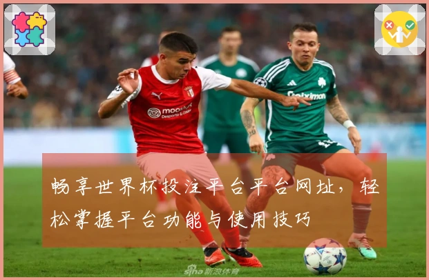 畅享世界杯投注平台平台网址,轻松掌握平台功能与使用技巧
