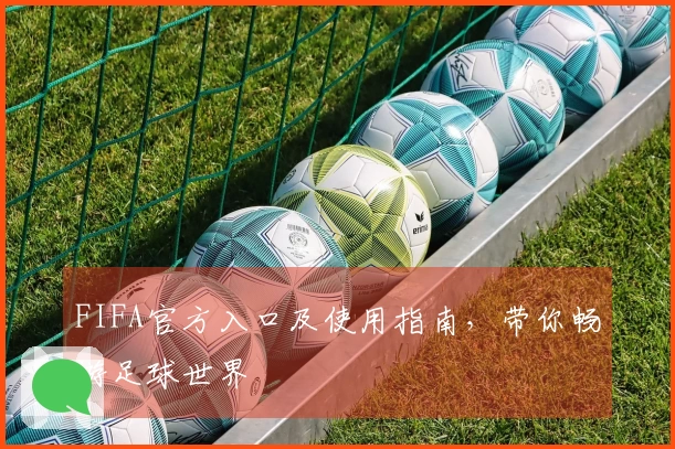 FIFA官方入口及使用指南，带你畅游足球世界
