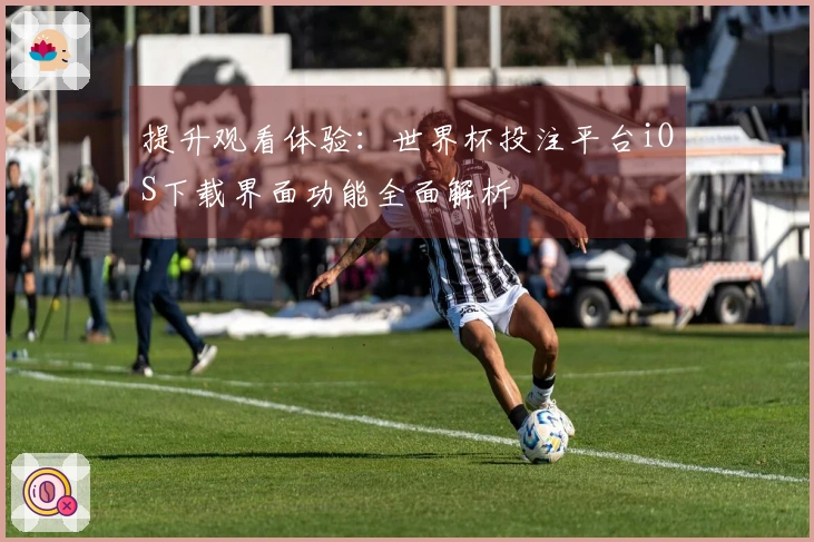 提升观看体验：世界杯投注平台iOS下载界面功能全面解析