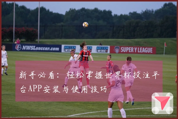 新手必看：轻松掌握世界杯投注平台APP安装与使用技巧