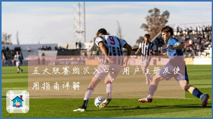 五大联赛购买入口：用户注册及使用指南详解