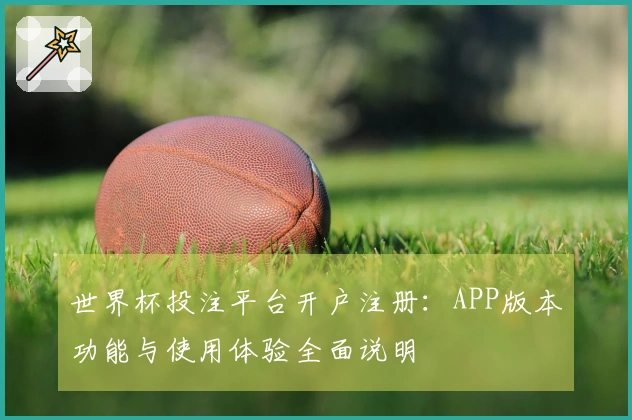 世界杯投注平台开户注册：APP版本功能与使用体验全面说明