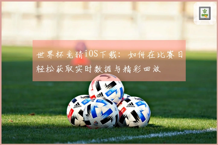 世界杯竞猜iOS下载:如何在比赛日轻松获取实时数据与精彩回放