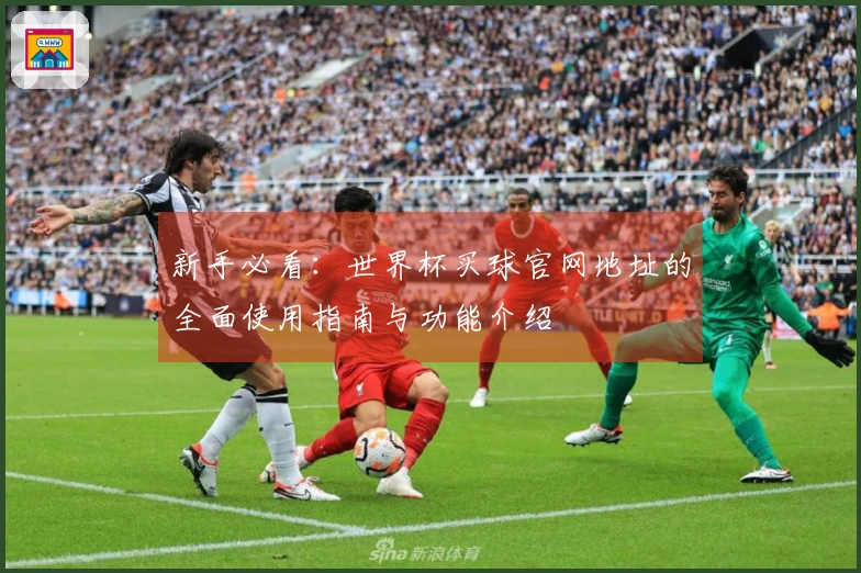新手必看：世界杯买球官网地址的全面使用指南与功能介绍