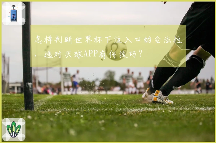怎样判断世界杯下注入口的合法性，选对买球APP有何技巧？