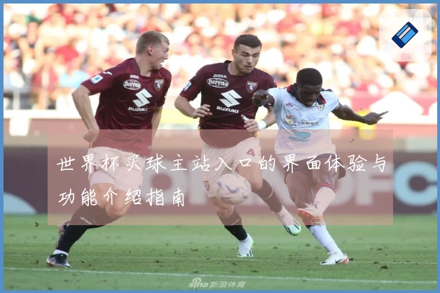 世界杯买球主站入口的界面体验与功能介绍指南