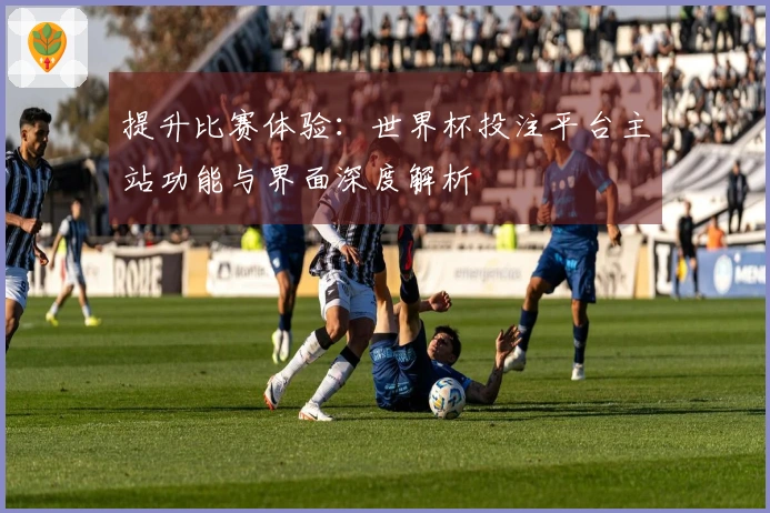 提升比赛体验:世界杯投注平台主站功能与界面深度解析