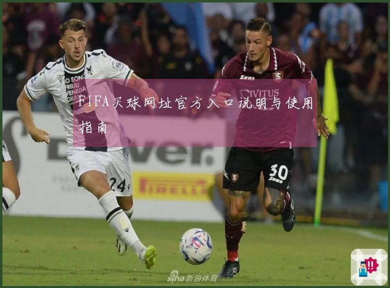 FIFA买球网址官方入口说明与使用指南
