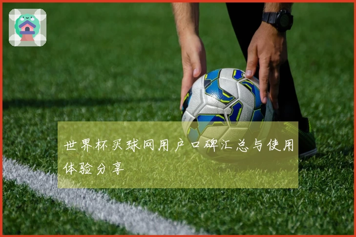 世界杯买球网用户口碑汇总与使用体验分享