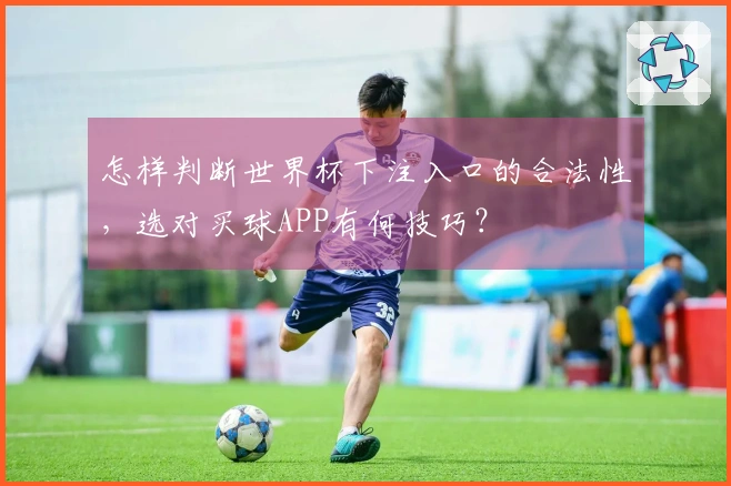 怎样判断世界杯下注入口的合法性，选对买球APP有何技巧？
